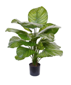 Calathea kunstplant van Maxifleur