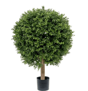 Kunst buxus bol van Maxifleur